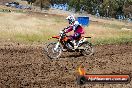 Champions Ride Days MotoX Broadford 01 12 2013 - 6CR_5506