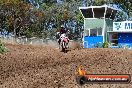 Champions Ride Days MotoX Broadford 01 12 2013 - 6CR_5514