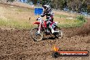 Champions Ride Days MotoX Broadford 01 12 2013 - 6CR_5518