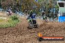 Champions Ride Days MotoX Broadford 01 12 2013 - 6CR_5525