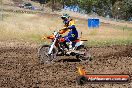 Champions Ride Days MotoX Broadford 01 12 2013 - 6CR_5539