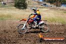 Champions Ride Days MotoX Broadford 01 12 2013 - 6CR_5540