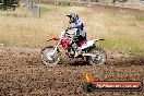 Champions Ride Days MotoX Broadford 01 12 2013 - 6CR_5544