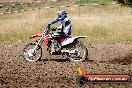 Champions Ride Days MotoX Broadford 01 12 2013 - 6CR_5545