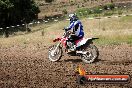 Champions Ride Days MotoX Broadford 01 12 2013 - 6CR_5547