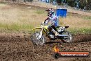 Champions Ride Days MotoX Broadford 01 12 2013 - 6CR_5554