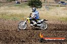 Champions Ride Days MotoX Broadford 01 12 2013 - 6CR_5556