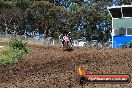 Champions Ride Days MotoX Broadford 01 12 2013 - 6CR_5567