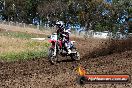 Champions Ride Days MotoX Broadford 01 12 2013 - 6CR_5569