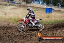 Champions Ride Days MotoX Broadford 01 12 2013 - 6CR_5571