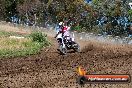 Champions Ride Days MotoX Broadford 01 12 2013 - 6CR_5581