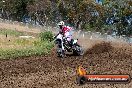 Champions Ride Days MotoX Broadford 01 12 2013 - 6CR_5582