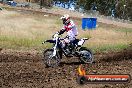 Champions Ride Days MotoX Broadford 01 12 2013 - 6CR_5585
