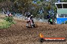 Champions Ride Days MotoX Broadford 01 12 2013 - 6CR_5591