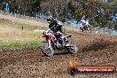 Champions Ride Days MotoX Broadford 01 12 2013 - 6CR_5594