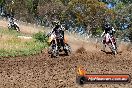 Champions Ride Days MotoX Broadford 01 12 2013 - 6CR_5615