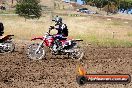 Champions Ride Days MotoX Broadford 01 12 2013 - 6CR_5620