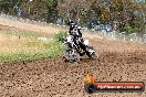 Champions Ride Days MotoX Broadford 01 12 2013 - 6CR_5623