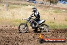 Champions Ride Days MotoX Broadford 01 12 2013 - 6CR_5627