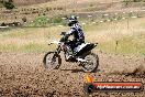 Champions Ride Days MotoX Broadford 01 12 2013 - 6CR_5630