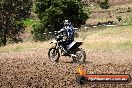 Champions Ride Days MotoX Broadford 01 12 2013 - 6CR_5632