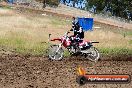 Champions Ride Days MotoX Broadford 01 12 2013 - 6CR_5639