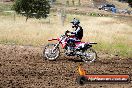 Champions Ride Days MotoX Broadford 01 12 2013 - 6CR_5640