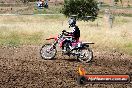 Champions Ride Days MotoX Broadford 01 12 2013 - 6CR_5641