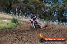 Champions Ride Days MotoX Broadford 01 12 2013 - 6CR_5647