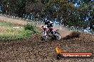 Champions Ride Days MotoX Broadford 01 12 2013 - 6CR_5648