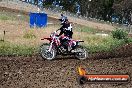 Champions Ride Days MotoX Broadford 01 12 2013 - 6CR_5650