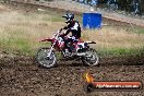 Champions Ride Days MotoX Broadford 01 12 2013 - 6CR_5651