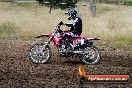 Champions Ride Days MotoX Broadford 01 12 2013 - 6CR_5652