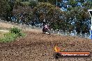 Champions Ride Days MotoX Broadford 01 12 2013 - 6CR_5658