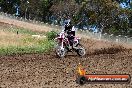 Champions Ride Days MotoX Broadford 01 12 2013 - 6CR_5664