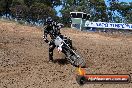 Champions Ride Days MotoX Broadford 01 12 2013 - 6CR_5672