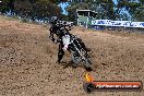 Champions Ride Days MotoX Broadford 01 12 2013 - 6CR_5673