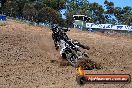 Champions Ride Days MotoX Broadford 01 12 2013 - 6CR_5674