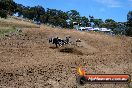 Champions Ride Days MotoX Broadford 01 12 2013 - 6CR_5677