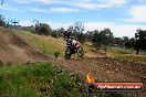 Champions Ride Days MotoX Broadford 01 12 2013 - 6CR_5682