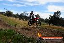Champions Ride Days MotoX Broadford 01 12 2013 - 6CR_5683