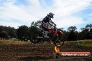 Champions Ride Days MotoX Broadford 01 12 2013 - 6CR_5685