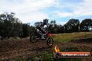 Champions Ride Days MotoX Broadford 01 12 2013 - 6CR_5686