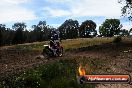 Champions Ride Days MotoX Broadford 01 12 2013 - 6CR_5687