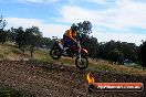 Champions Ride Days MotoX Broadford 01 12 2013 - 6CR_5690