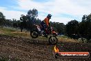 Champions Ride Days MotoX Broadford 01 12 2013 - 6CR_5691
