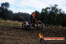 Champions Ride Days MotoX Broadford 01 12 2013 - 6CR_5692