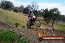 Champions Ride Days MotoX Broadford 01 12 2013 - 6CR_5693