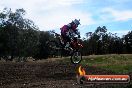 Champions Ride Days MotoX Broadford 01 12 2013 - 6CR_5698
