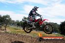 Champions Ride Days MotoX Broadford 01 12 2013 - 6CR_5713